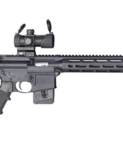 SMITH & WESSON - M&P15 SPORT 22LR W/RED-GREEN DOT OPTIC