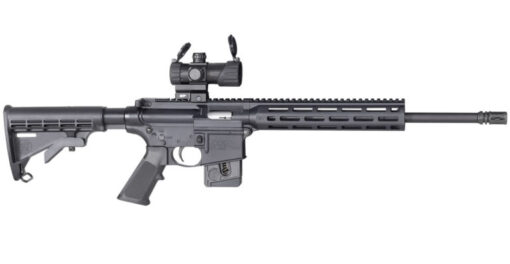 SMITH & WESSON - M&P15 SPORT 22LR W/RED-GREEN DOT OPTIC
