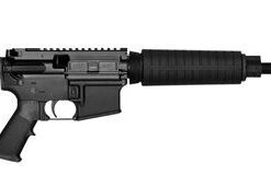 Del-Ton Inc Echo Semi-Automatic .223 REM/5.56 NATO 30+1