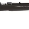 Ruger American .17 HMR