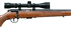 Savage 96222 93R17GVXP .17 HMR AT W-SCP