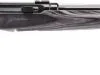 Savage A17 .17 HMR TARGET SPORTER LAM