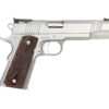 Dan Wesson Pointman 9 PM-9 9mm Full-Size Stainless Pistol