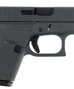 Glock UI4250201SNP G42 Subcompact Double 380 Automatic Colt Pistol (ACP) 3.25 6+1 Gray Polymer Grip/Frame Grip Gray