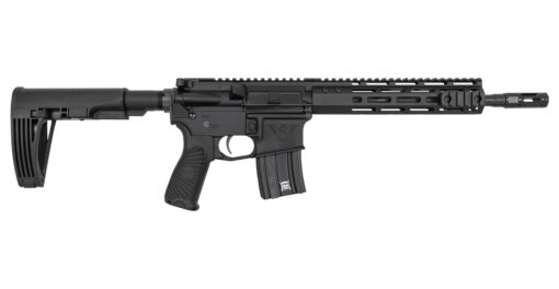 Wilson Combat Protector 300 HAMR AR-Pistol with M-LOK Handguard