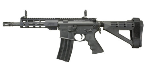 Windham WW-15 300 Blackout AR Pistol with Brace